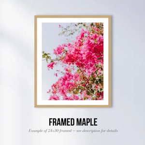 May include: A framed print of a close-up of pink bougainvillea flowers against a light blue sky. The frame is a light brown wood.