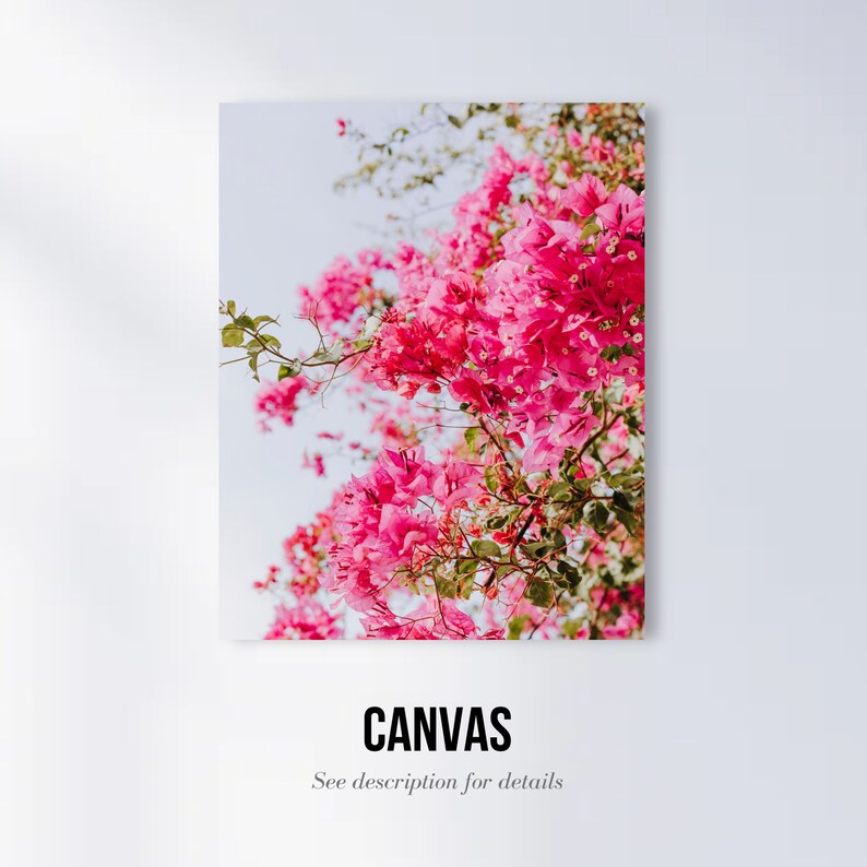 May include: A close-up of a pink bougainvillea flower bush with green leaves against a light blue sky.