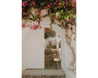 Bougainvillea Photo Print Pink Floral Wall Art Santorini Greece Print Pink Flower Wall Decor Canvas Large Wall Art Greek Island Gift For Her