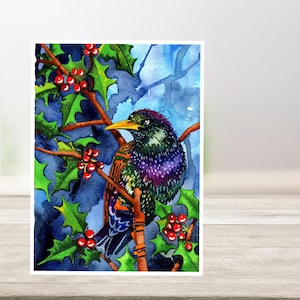 Cartes de Noël aquarelle : l'étourneau sansonnet dans Holly Bush. Vierge à l'intérieur, jeu de cartes de Noël, carte de vœux faite main. 5 x 7 pouces