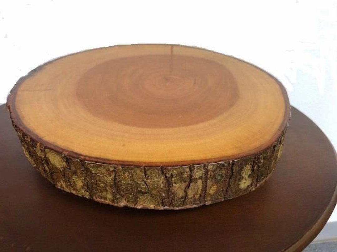 Mahogany Tree Trunk Table Top Decor Etsy