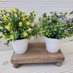 Potted Spring Flowers | Tiered Tray Decor