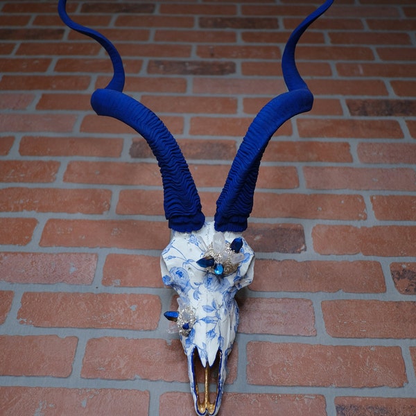 SOLD OUT "Blue Antelope Skull"