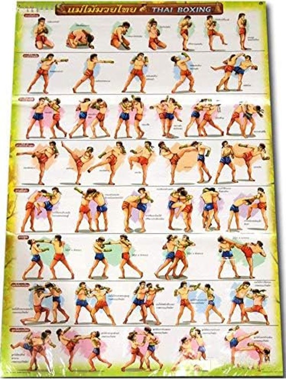 I will learn this fighting style  Muay thai, Técnicas de muay