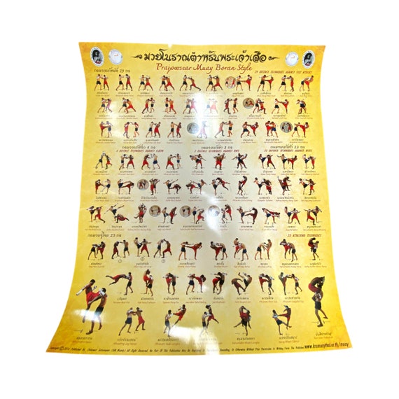 Muay Thai Techniques Poster