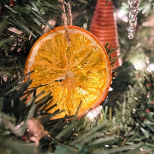 Glossy Orange Slice Ornaments (set of 6)