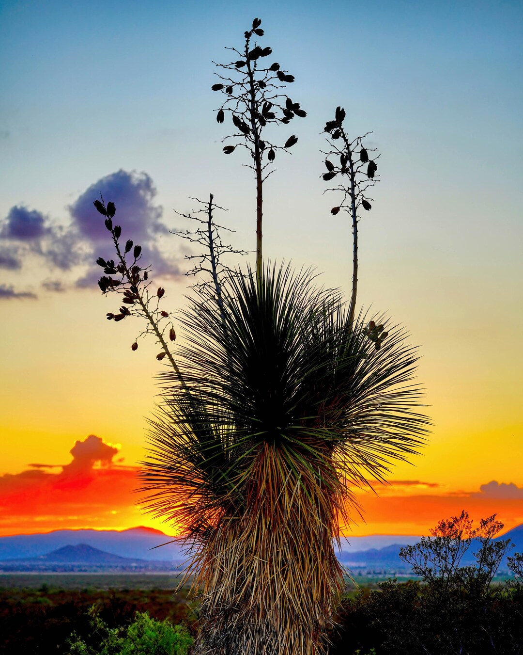 1127 Baylor Canyon Sunset - Etsy