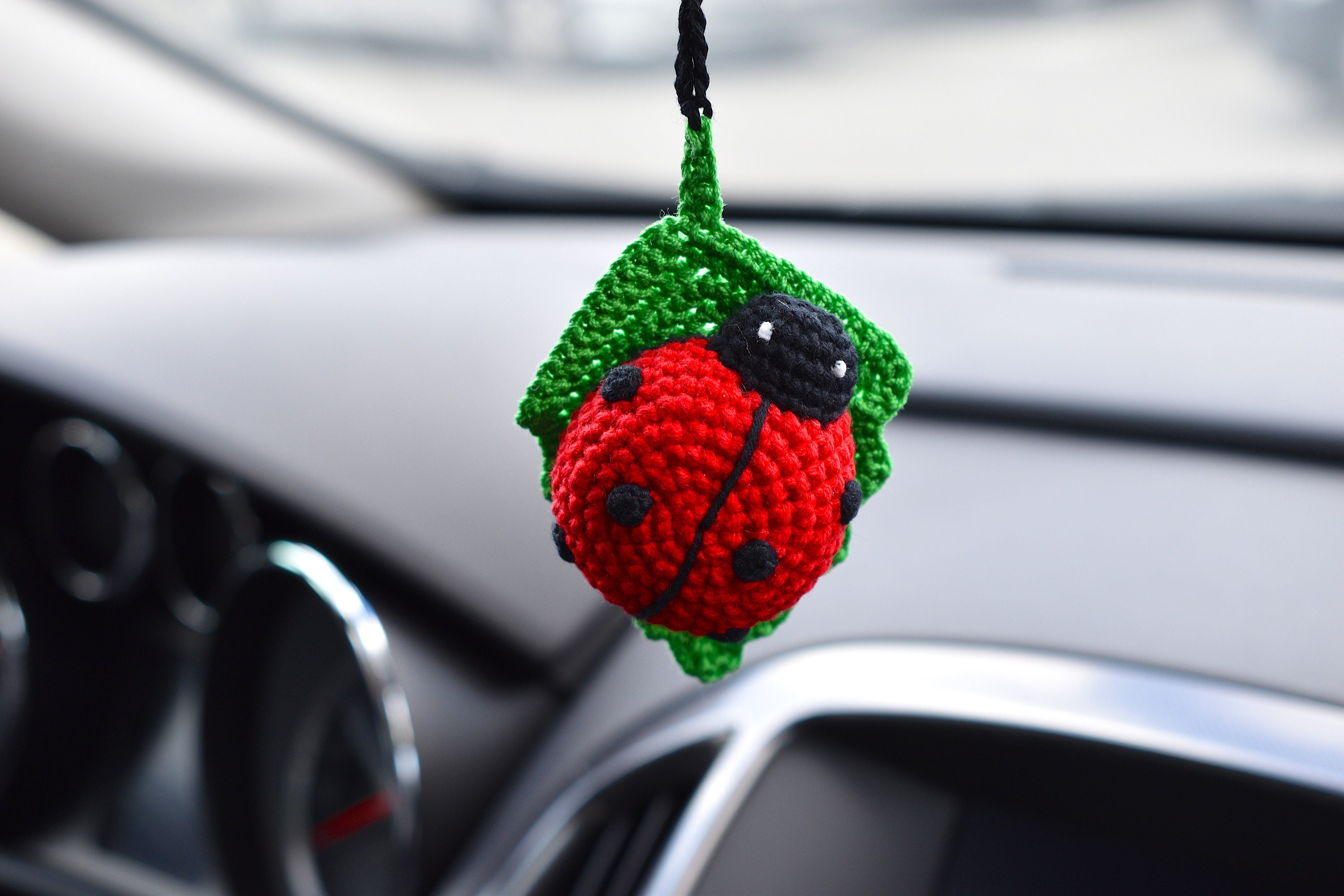 Ladybug Car Rental - 09h7jdp