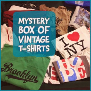 Mystery Vintage Style T-Shirt Bundle | Y2k/90s T-Shirt Bundle | Cool Gift | Retro Thrifted Mystery Box | T-shirt Mystery Pack | Graphic Tees