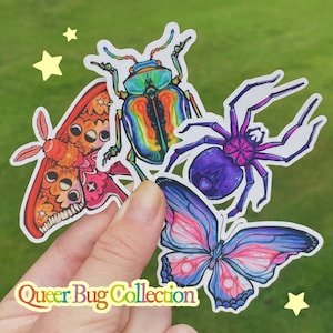 May include: A set of four die-cut stickers featuring a moth with orange and pink wings, a vibrant iridescent beetle, a purple spider with a heart pattern, and a blue and pink butterfly, with the text Queer Bug Collection at the bottom.