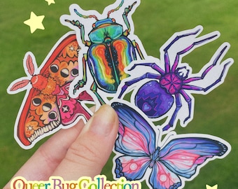 QUEER BUGS // 3x2 vinyl sticker collection lesbian, gay (mlm), bisexual, transgender, pansexual, and asexual LGBTQ+ pride stickers