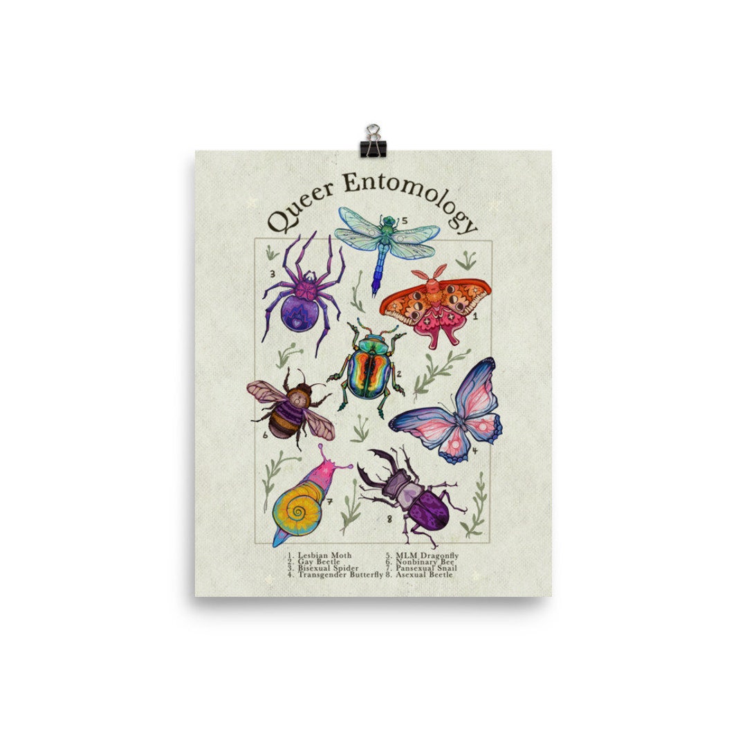 Lgbt Insect Queer Entomology // Poster Print. Multi-sized Queer Pride Artwork ...