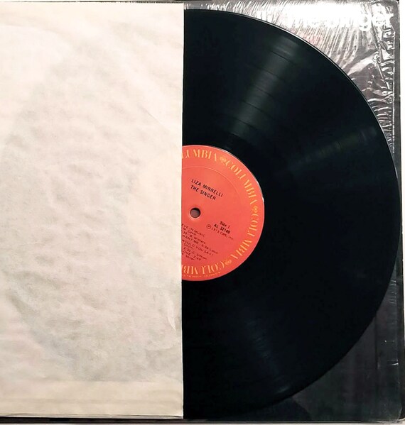 Liza Minnelli – the Singer / Vinyl LP/ Vintage/ *original* 1973