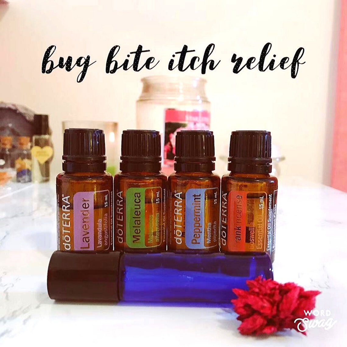 essential oils anti itch bug bites
