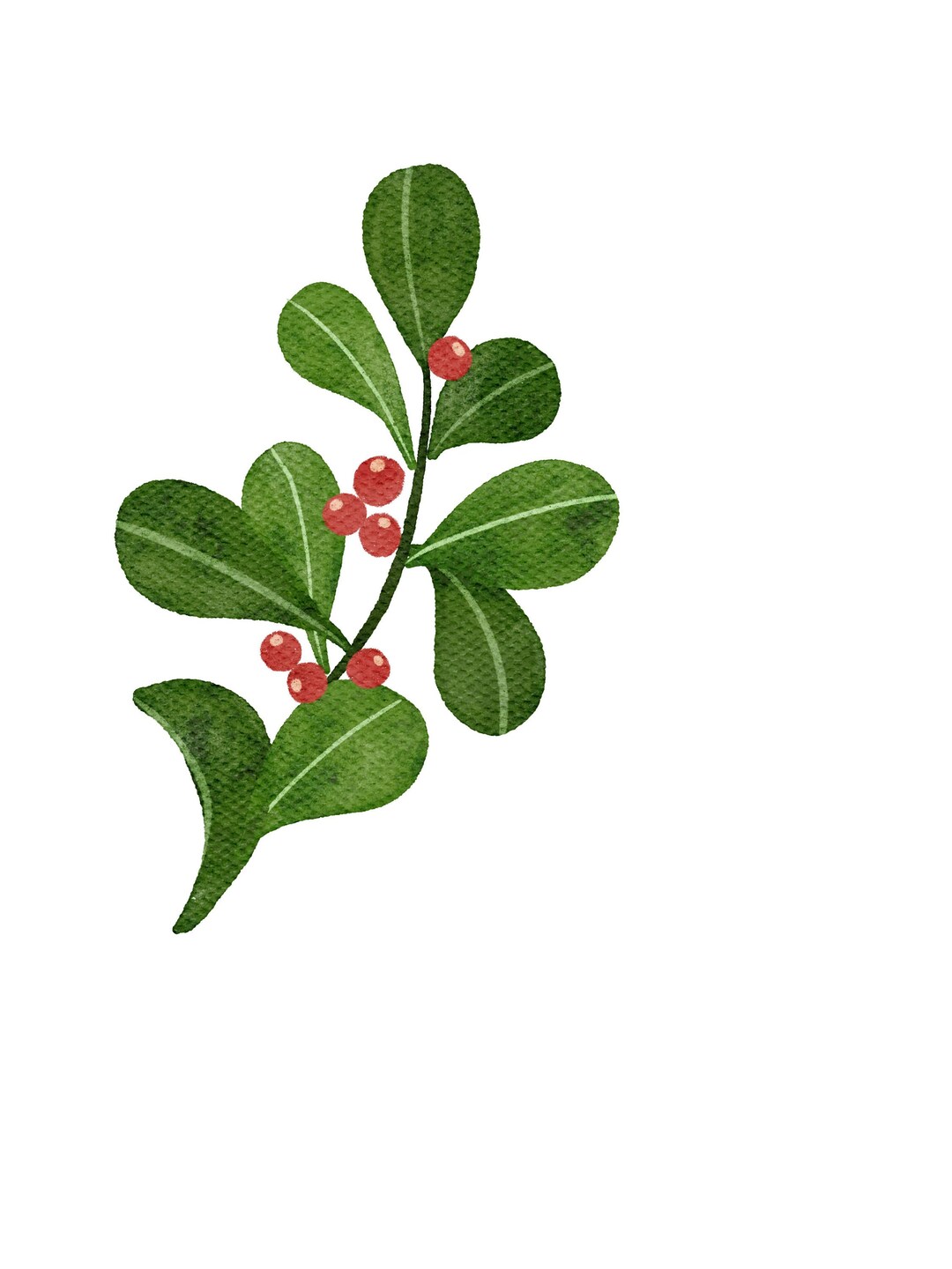 Floral Mistletoe Cookie Cutter, Christmas Mistletoe, Holiday Mistletoe ...