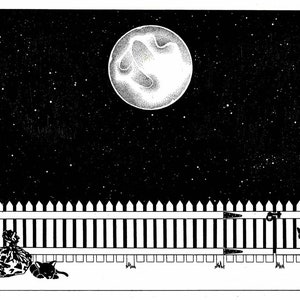Cats at Night Print