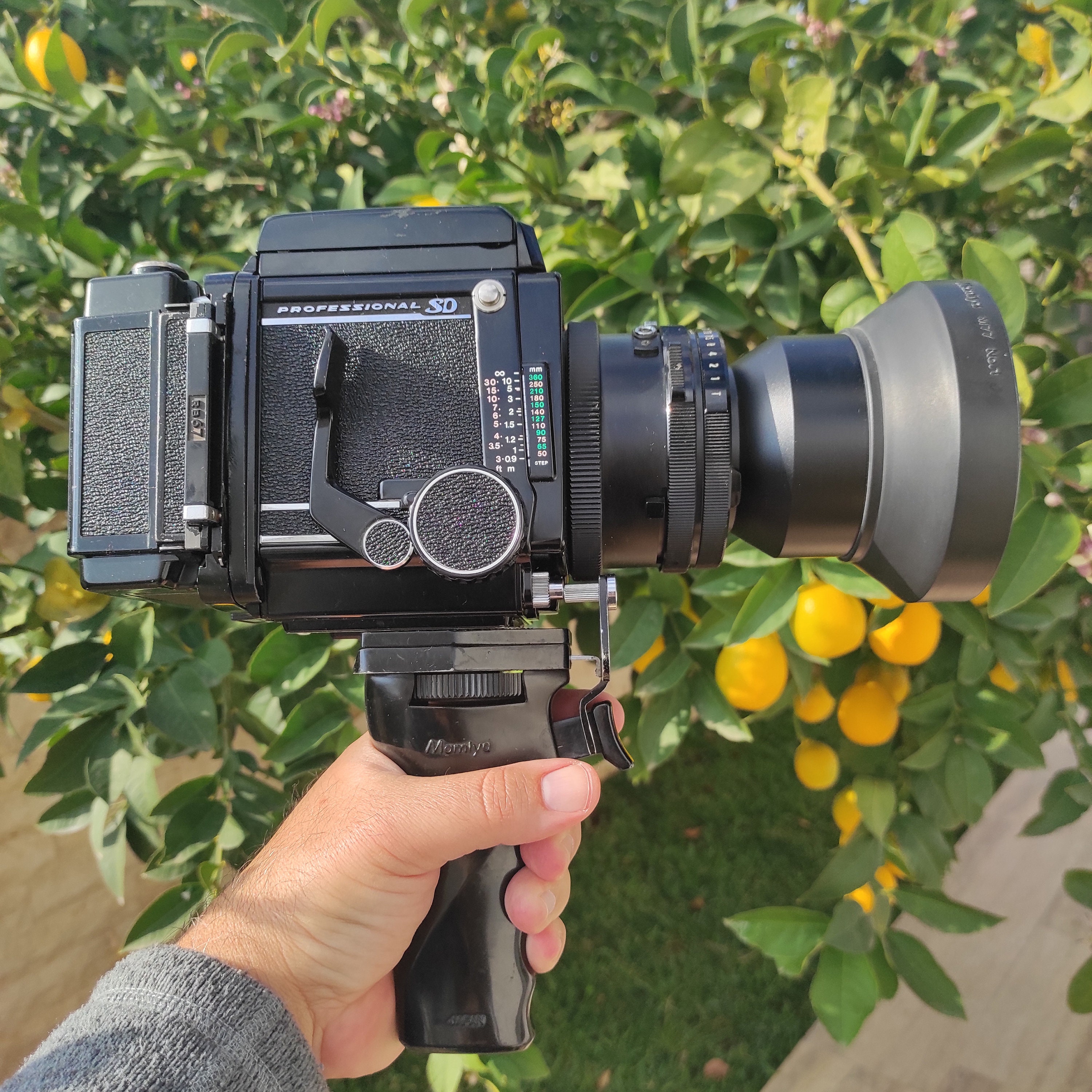 Mamiya Rb 67 - Etsy