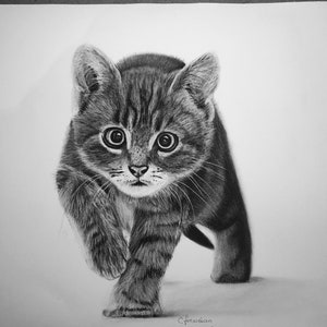 May include: A black and white pencil drawing of a kitten walking towards the viewer. The kitten has a striped pattern and large, round eyes. The drawing is signed "C.forweb.an -2019- " and labeled "Original Artwork A3".