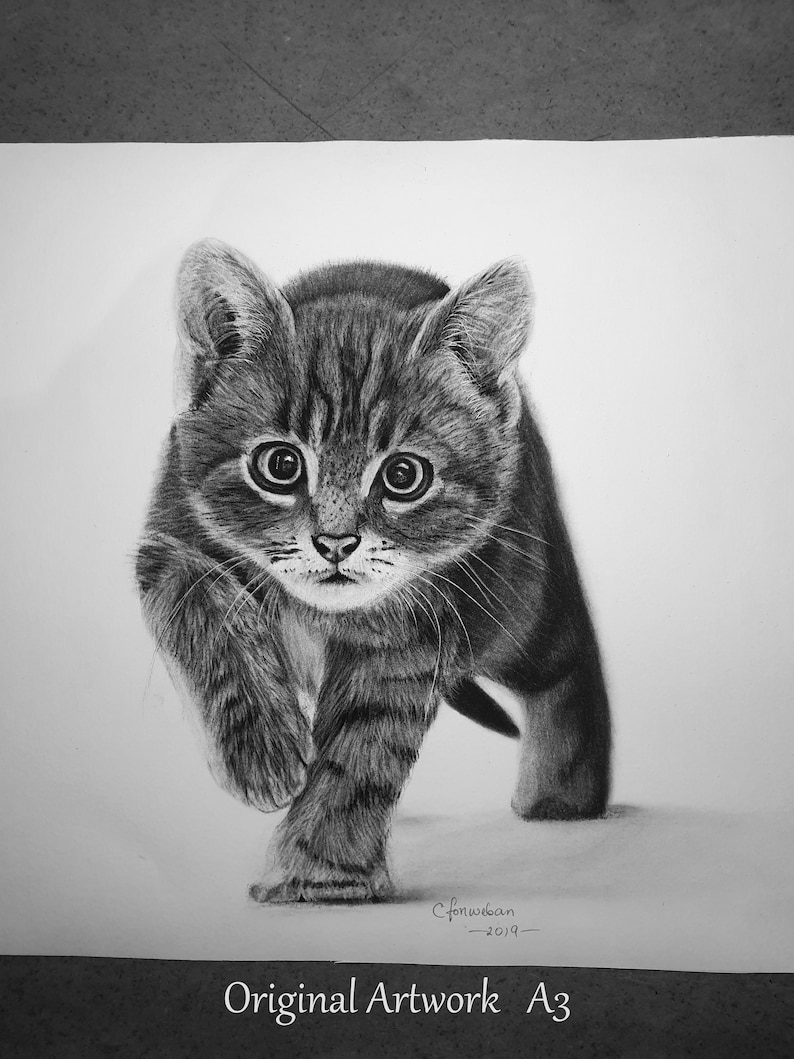 May include: A black and white pencil drawing of a kitten walking towards the viewer. The kitten has a striped pattern and large, round eyes. The drawing is signed "C.forweb.an -2019- " and labeled "Original Artwork A3".