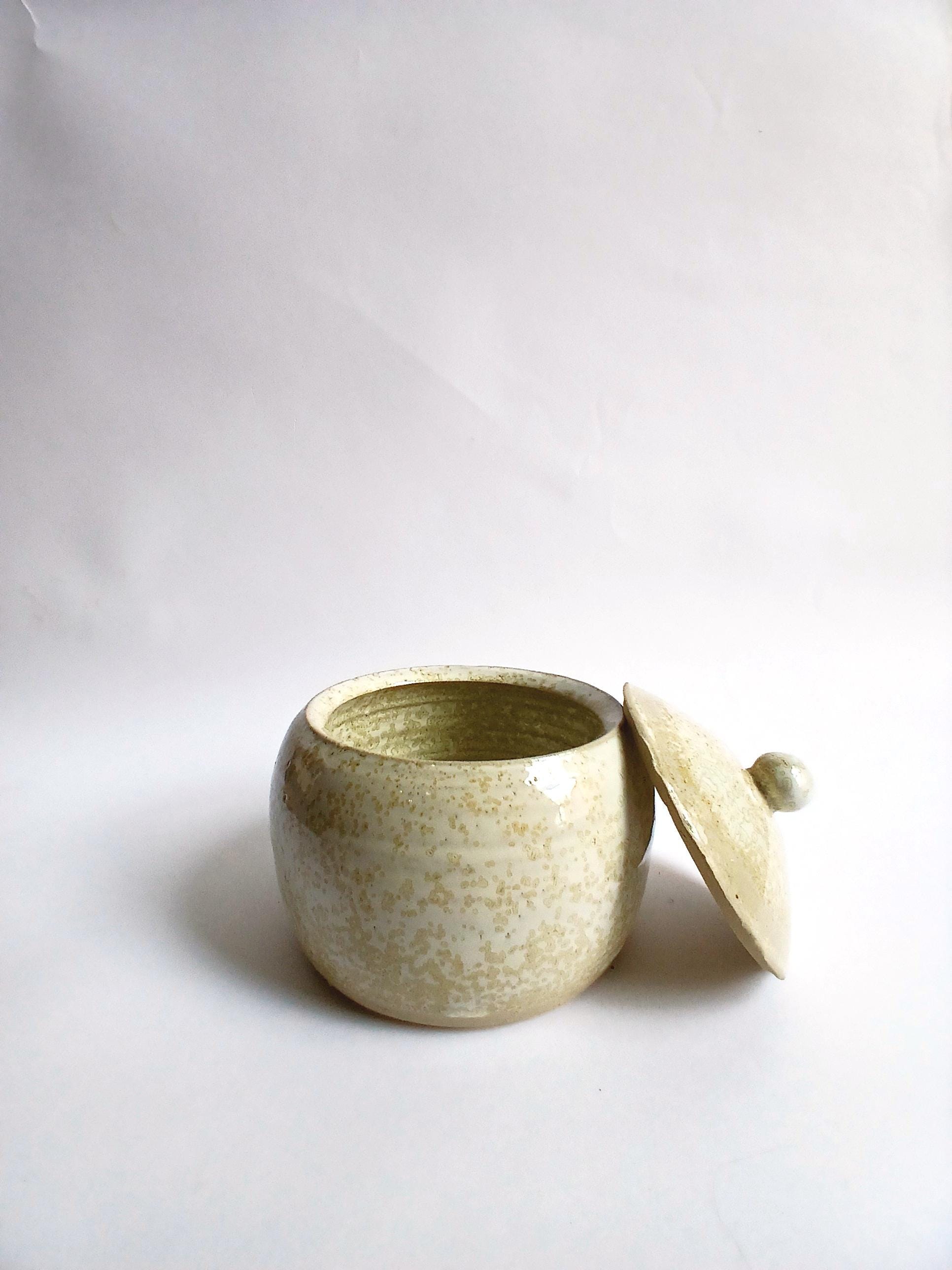 Lot de 2 pots de fleurs ronds en céramique pour intérieur Blanc