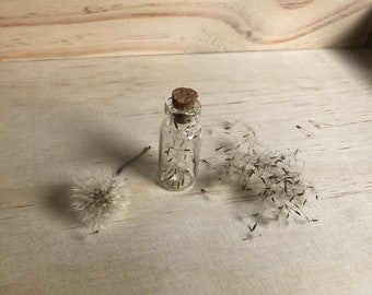 Little Jar of Wishes - Bouteille de souvenir de graines de pissenlit