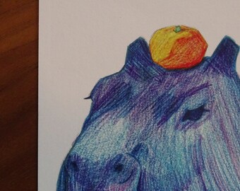 May include: A blue and purple coloured drawing of an animal with an orange fruit on its head.