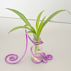May include: A small glass vase with a purple wire stand, holding green plant stems. The wire stand has a decorative, swirling design. The vase is clear, and the plant has long, slender leaves. The background is a plain, light gray.