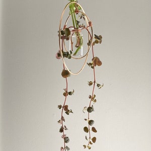 Propagation Station, Sun Catcher, Hanging Circular Plant Propagation, Urban Jungle Art, Garden Gift, Light Catcher