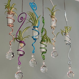 May include: Hanging air plant holders with clear glass vials, colorful wire accents, and crystal ball pendants. The air plants have green and white striped leaves. The wire is in shades of copper, purple, blue, green, gold, and silver.