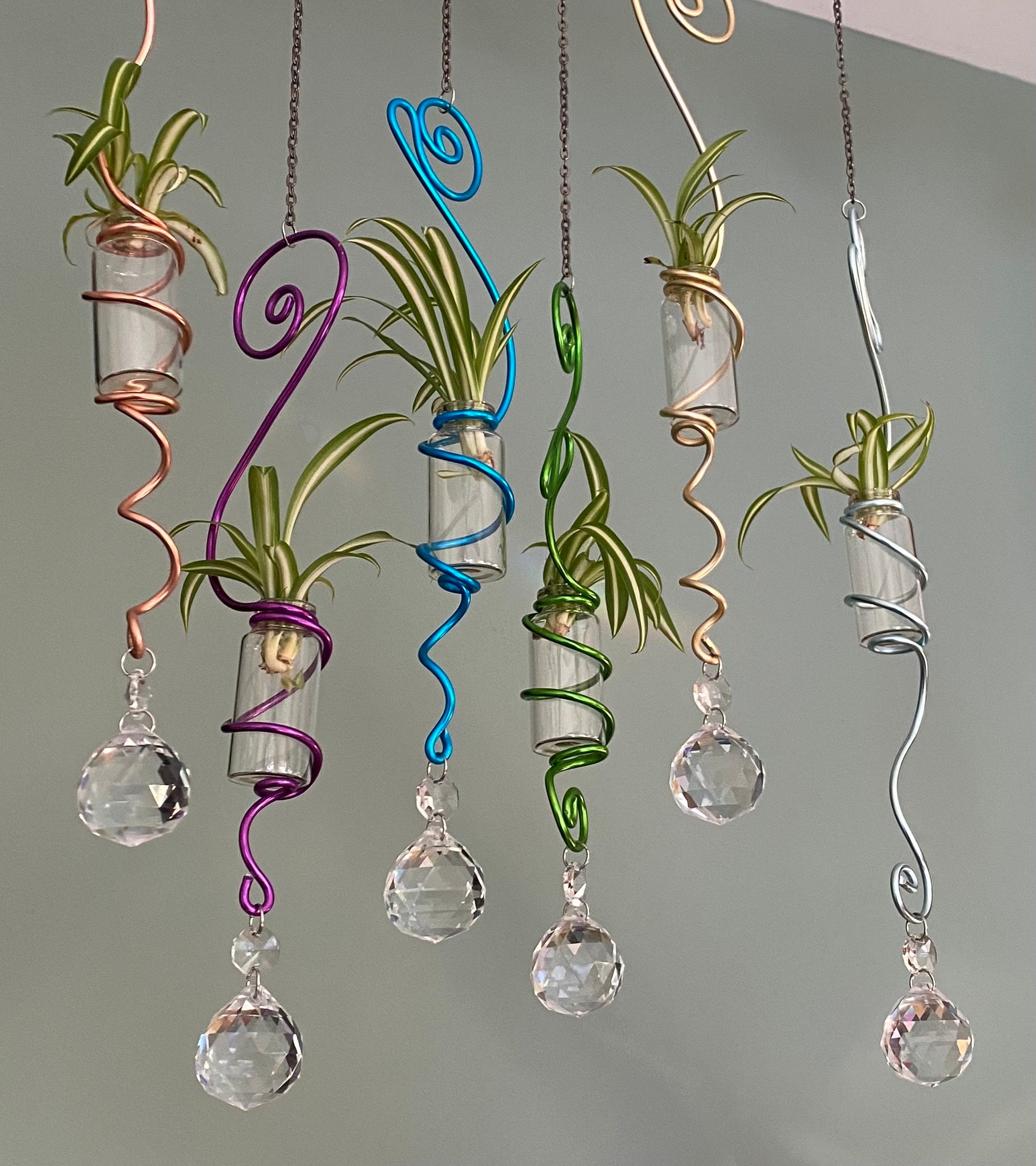 Funky Hanging  Propagation Station, Sun Catcher, Bud Vase, Hanging Plant, Hanging Propagation Station, Crystal, Rainbow Thrower