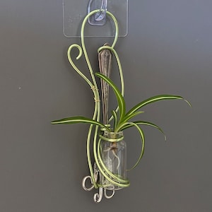 Vintage Silverplate Propagation Station, Propagation Station, Flower Vase, Chartruese