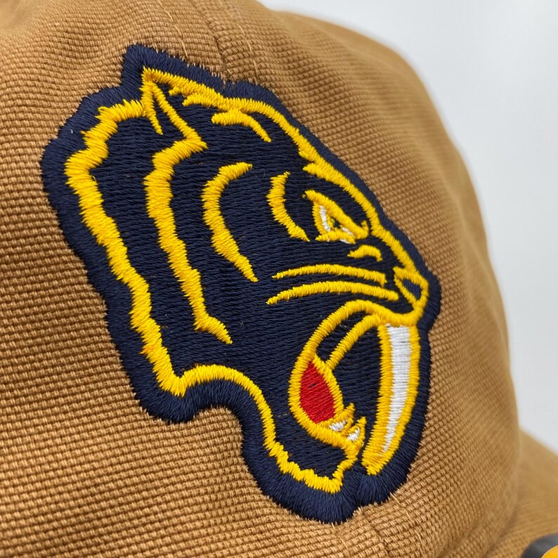 Nashville Predators Winter Classic Logo hat