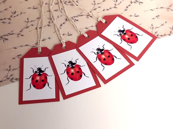 4 Ladybird Gift Tags, Handmade Wildlife Gift Tags, Ladybird Pencil Illustration Tags, Nature Art Birthday Tags, Ladybug Gift Bag Tags