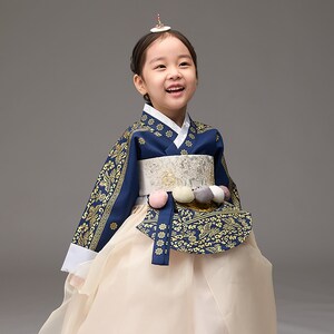 Girl Baby Hanbok Korean Traditional Dress First Birthday Party Celebration Hanbok Clothing Set 100th days Birth to 8 Ages Royal Navy Gold