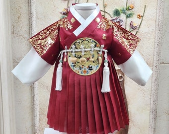 Premium Hanbok Baby Boy Korea Traditional Clothing Set 1 Age 1st Birthday Party Dol Party Red Gold Print