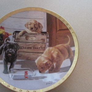May include: A decorative ceramic plate with a gold rim features a painting of three puppies. Two puppies are brown and white, and one is black. The puppies are playing with a milk bottle and a wooden crate. The plate has a gold rim with paw prints.