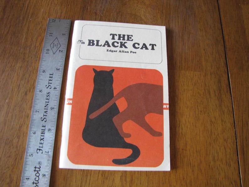 May include: A vintage paperback book titled "The Black Cat" by Edgar Allan Poe. The cover features a black cat silhouette and a brown cat silhouette on an orange background. A metal ruler is next to the book.