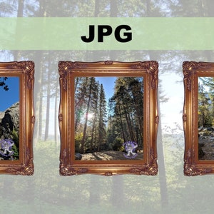 Mountain, Forest and Rocks.  Outdoor and Hiking activities.  JPG format only