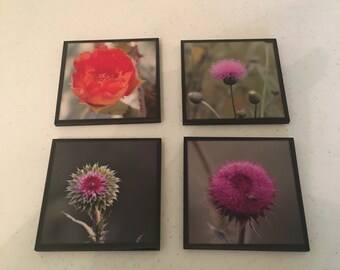 Floral Coasters