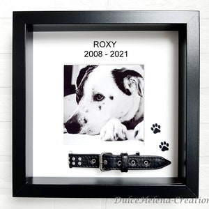 Personalized Photo Frame & Urn Keepsake Remembrance Dog Died Collar Cat Bereavement Pet Memorial Memorial Cremation Pet