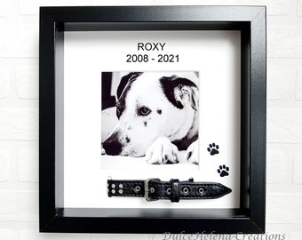 Personalizzato Photo Frame & Urna Keepsake Remembrance Dog Morto Collare Cat Lutto Pet Memorial Memorial Cremazione Pet