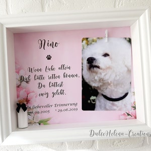 Fotorahmen & Urne personalisiert, Tierasche, Tierhaar, Andenken, Erinnerung, Hund verstorben, Katze, Trauer, Pet-Memorial, Einäscherung