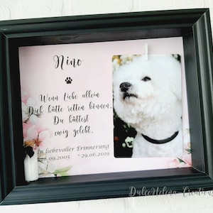 Fotorahmen & Urne personalisiert, Tierasche, Tierhaar, Andenken, Erinnerung, Hund verstorben, Katze, Trauer, Pet-Memorial, Einäscherung