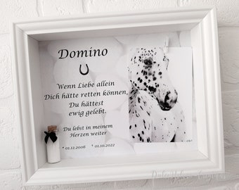 May include: A white picture frame with a black and white photo of a horse. The frame has a small glass bottle with a black ribbon and a horseshoe charm. The text in the frame reads "Domino" and includes a poem about the horse.