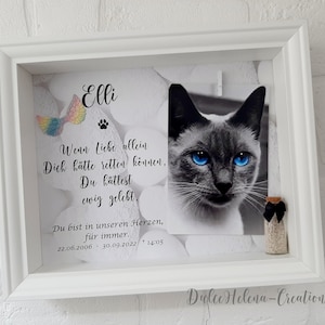 Könnte beinhalten: Ein weißer Bilderrahmen mit einem Schwarzweißfoto einer Katze mit blauen Augen. Der Rahmen hat eine kleine Glasflasche mit einem schwarzen Band und einer regenbogenfarbenen Schmetterlingsdekoration. Der Text "Elli" steht oben am Rahmen und ein Gedicht ist unter dem Foto geschrieben. Das Gedicht lautet: "Wenn Liebe allein dich hätte retten können, hättest du ewig gelebt. Du bist in unseren Herzen, für immer. 22.06.2006 - 30.09.2022 14:05". Der Text "Diolce Helena-Creations" steht unten am Rahmen.