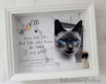 May include: A white picture frame with a black and white photo of a cat with blue eyes. The frame has a small glass vial with a black ribbon and a rainbow-colored butterfly decoration. The text "Elli" is at the top of the frame and a poem is written below the photo. The poem reads: "When love alone could have saved you, you would have lived forever. You are in our hearts, forever. 22.06.2006 - 30.09.2022 14:05". The text "Diolce Helena-Creations" is at the bottom of the frame.