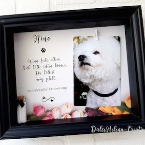 Fotorahmen & Urne personalisiert, Tierasche, Tierhaar, Andenken, Erinnerung, Hund verstorben, Katze, Trauer, Pet-Memorial, Einäscherung