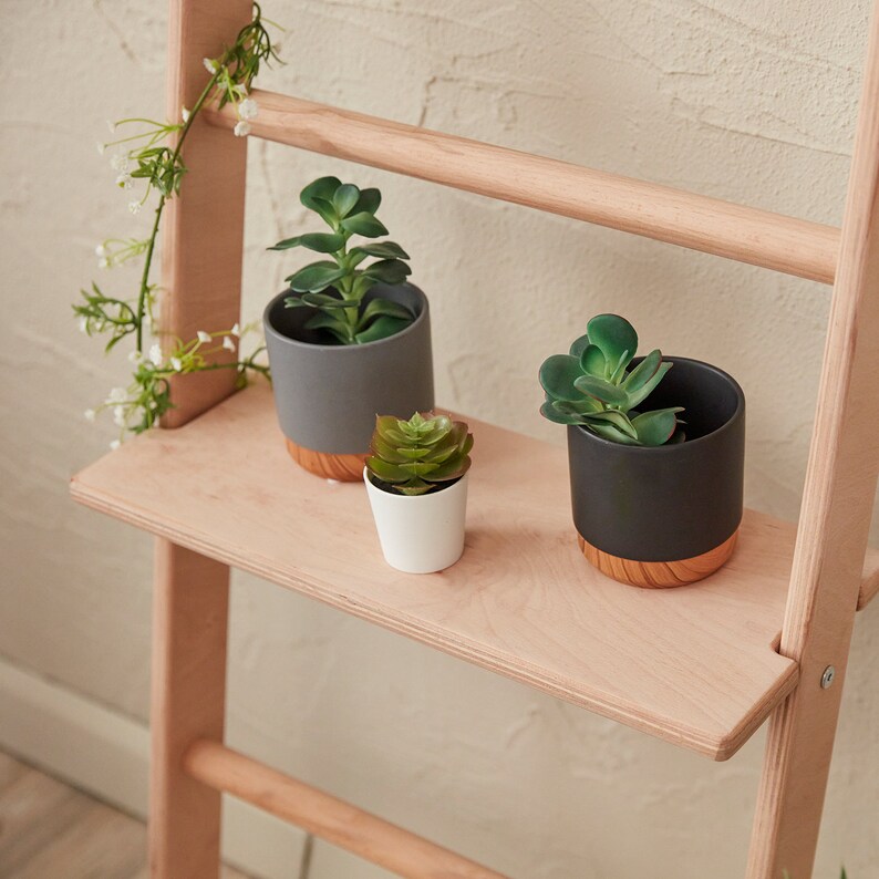 Opi Wall Shelf Plant Shelf Living Room Furniture Plant Etsy