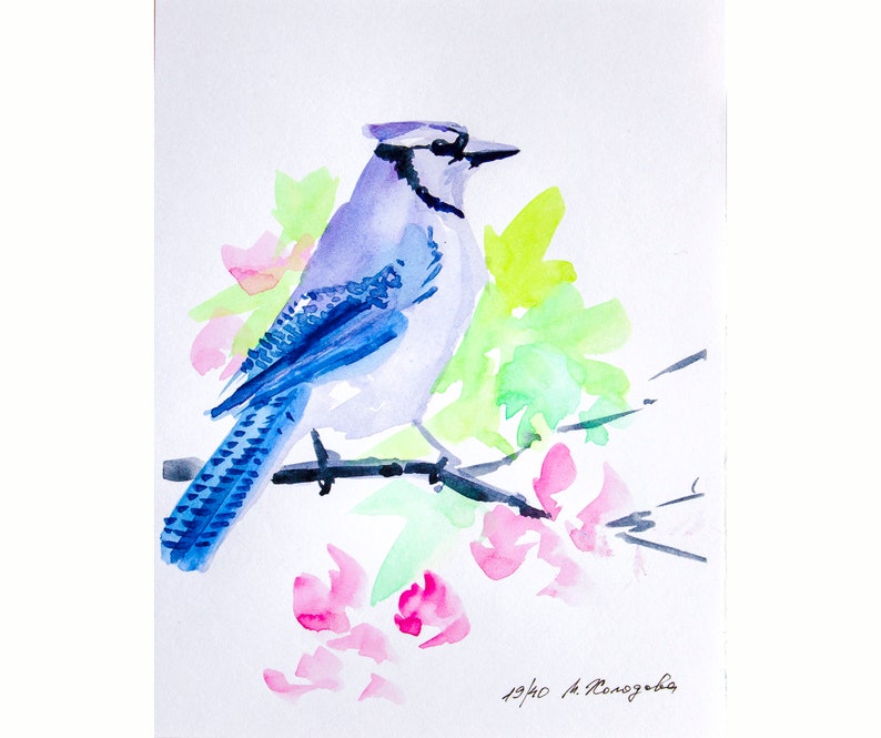 Blue Jay Original Watercolor Bird Painting Artwork by 5.5 7 Maria Kholodova
