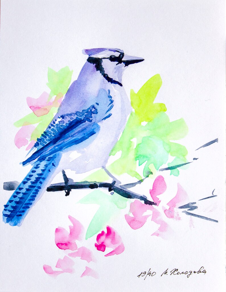 Blue Jay Original Watercolor Bird Painting Artwork by 5.5 7 Maria Kholodova